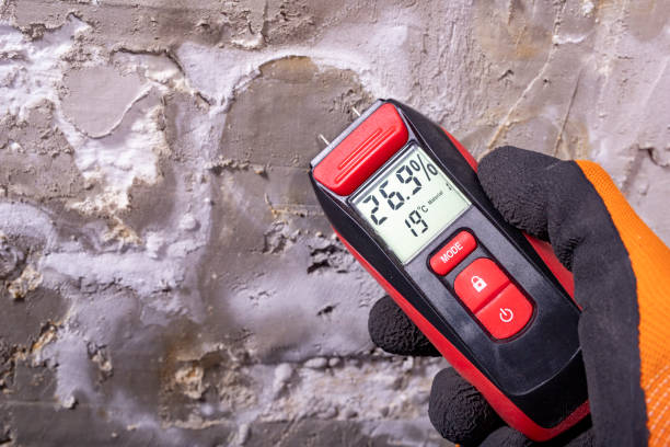 Best Same-Day Mold Removal  in Ashley, PA